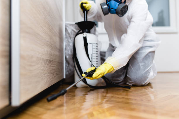 Best Pest Removal Services  in Mullins, SC