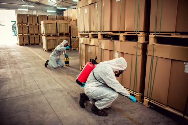 Best Exterminator Services  in Mullins, SC
