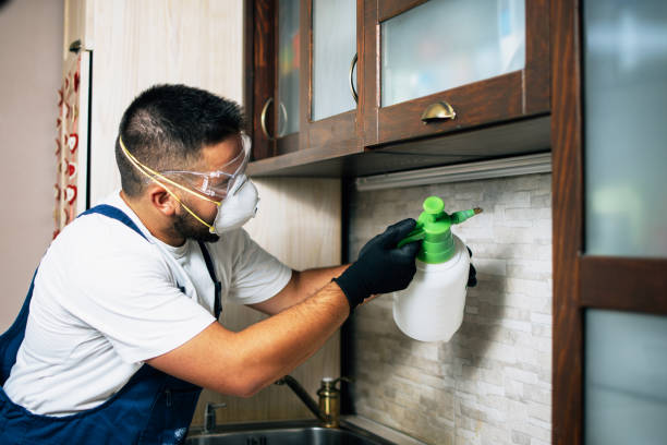 Best Flea Control Services  in Mullins, SC