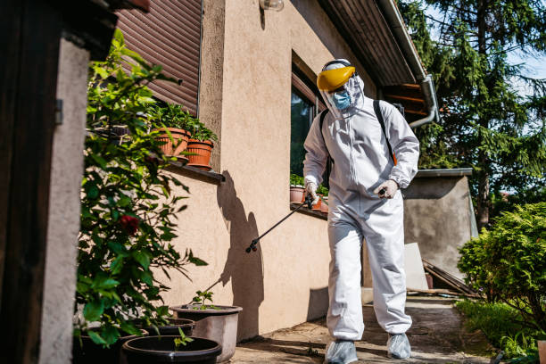 Reliable Mullins, SC Pest Control Solutions