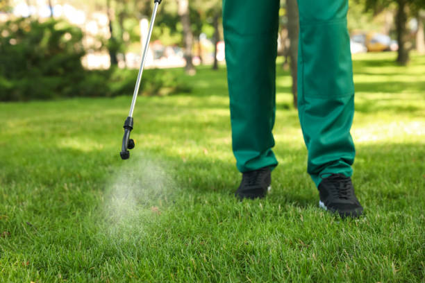 Best Pest Inspection Near Me  in Mullins, SC