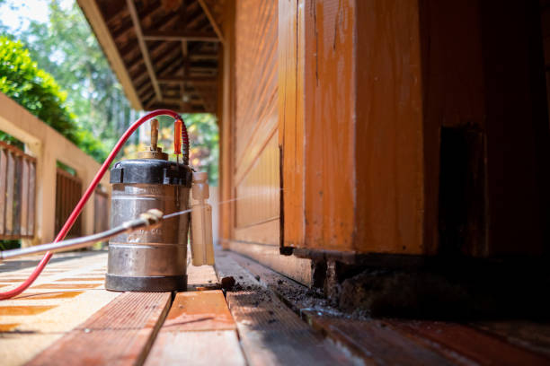 Best Affordable Pest Control Services  in Mullins, SC