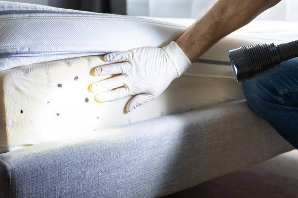 Best Pest Prevention Services  in Mullins, SC