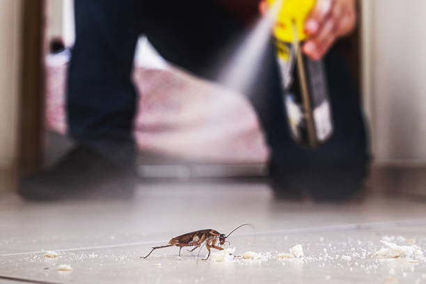 Best Commercial Pest Control Services  in Mullins, SC