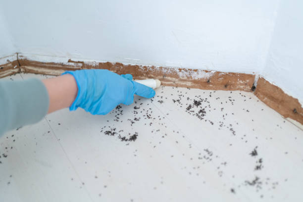 Best Wildlife Control Services  in Mullins, SC