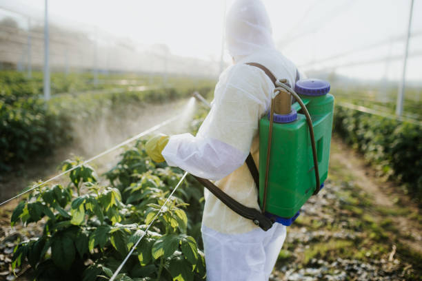 Pest Prevention Services in Mullins, SC